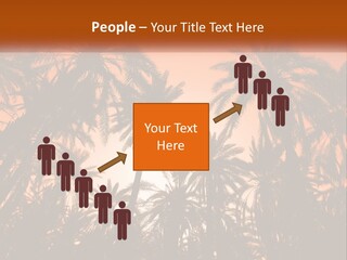A Group Of Palm Trees With The Sun In The Background PowerPoint Template
