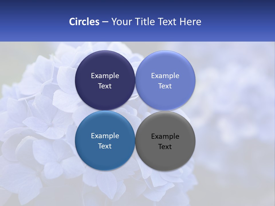 A Bunch Of Blue Flowers With A Name Of Presentation PowerPoint Template