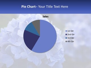 A Bunch Of Blue Flowers With A Name Of Presentation PowerPoint Template