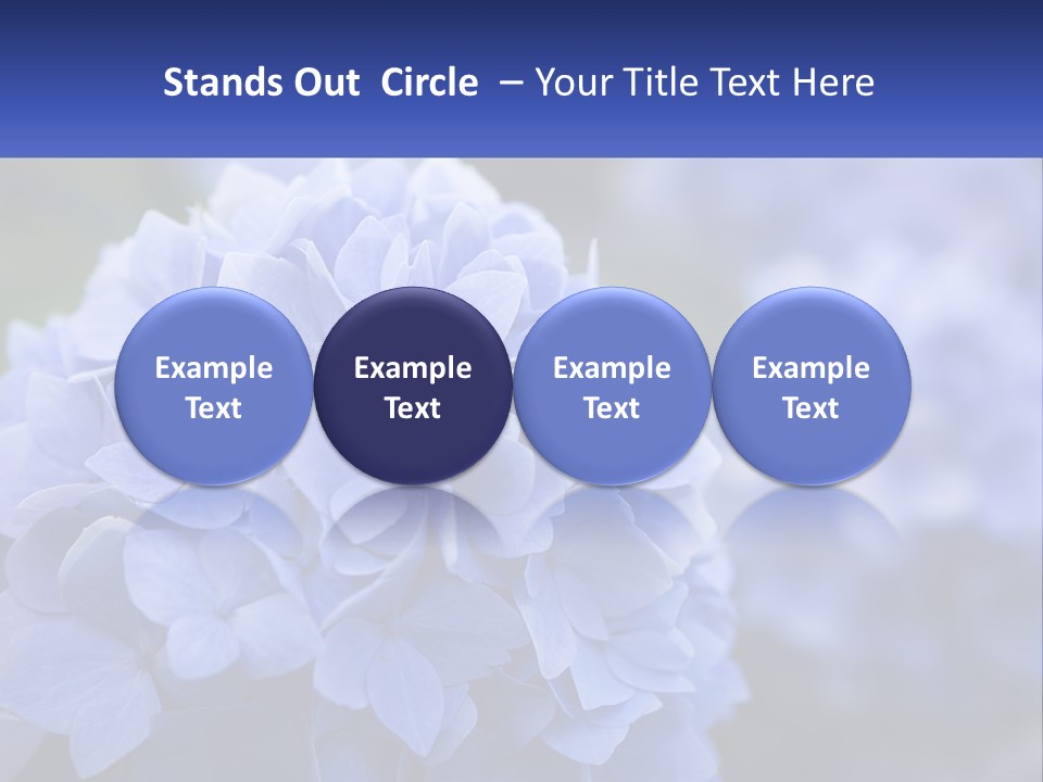 A Bunch Of Blue Flowers With A Name Of Presentation PowerPoint Template