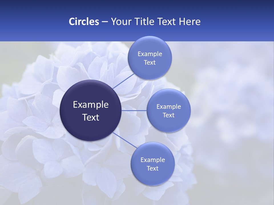A Bunch Of Blue Flowers With A Name Of Presentation PowerPoint Template