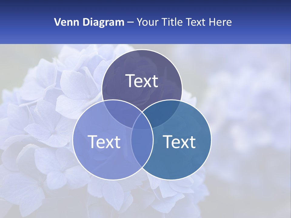 A Bunch Of Blue Flowers With A Name Of Presentation PowerPoint Template