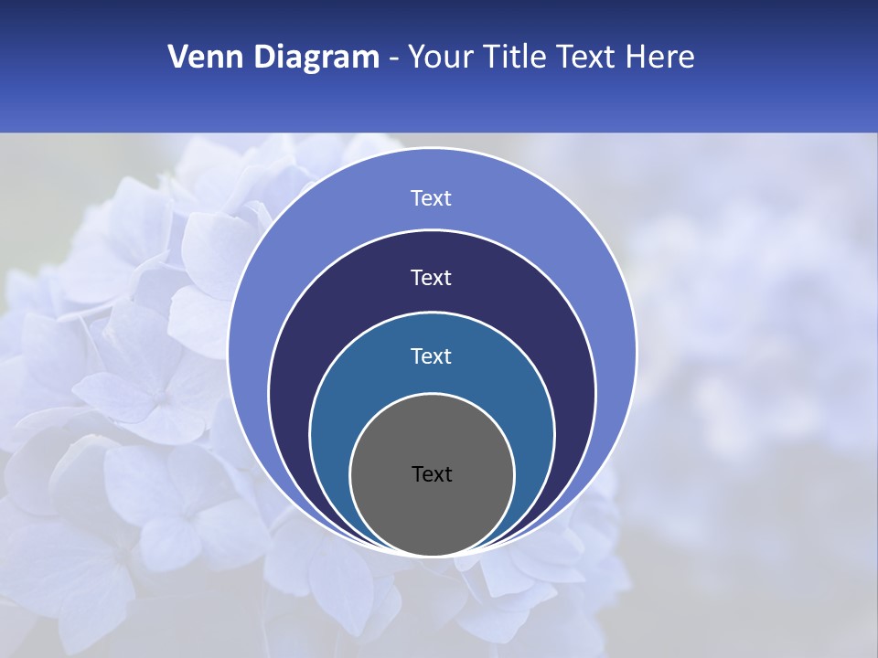 A Bunch Of Blue Flowers With A Name Of Presentation PowerPoint Template