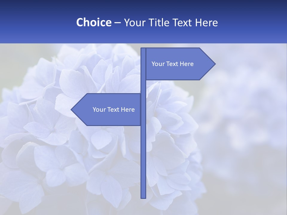 A Bunch Of Blue Flowers With A Name Of Presentation PowerPoint Template