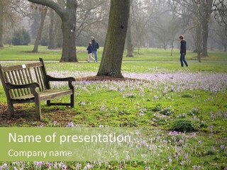 A Park Bench In The Middle Of A Field With Purple Flowers PowerPoint Template