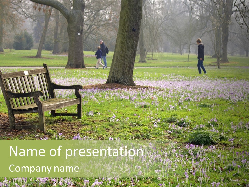 A Park Bench In The Middle Of A Field With Purple Flowers PowerPoint Template