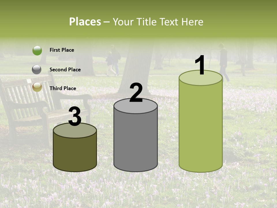 A Park Bench In The Middle Of A Field With Purple Flowers PowerPoint Template
