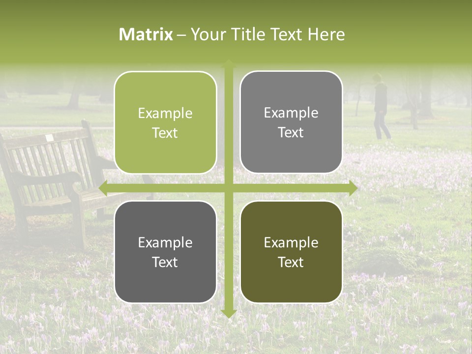 A Park Bench In The Middle Of A Field With Purple Flowers PowerPoint Template