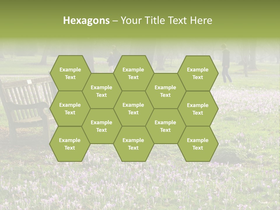 A Park Bench In The Middle Of A Field With Purple Flowers PowerPoint Template