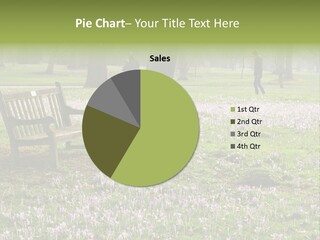 A Park Bench In The Middle Of A Field With Purple Flowers PowerPoint Template