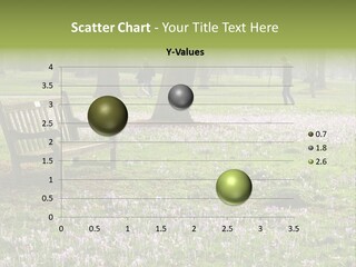 A Park Bench In The Middle Of A Field With Purple Flowers PowerPoint Template