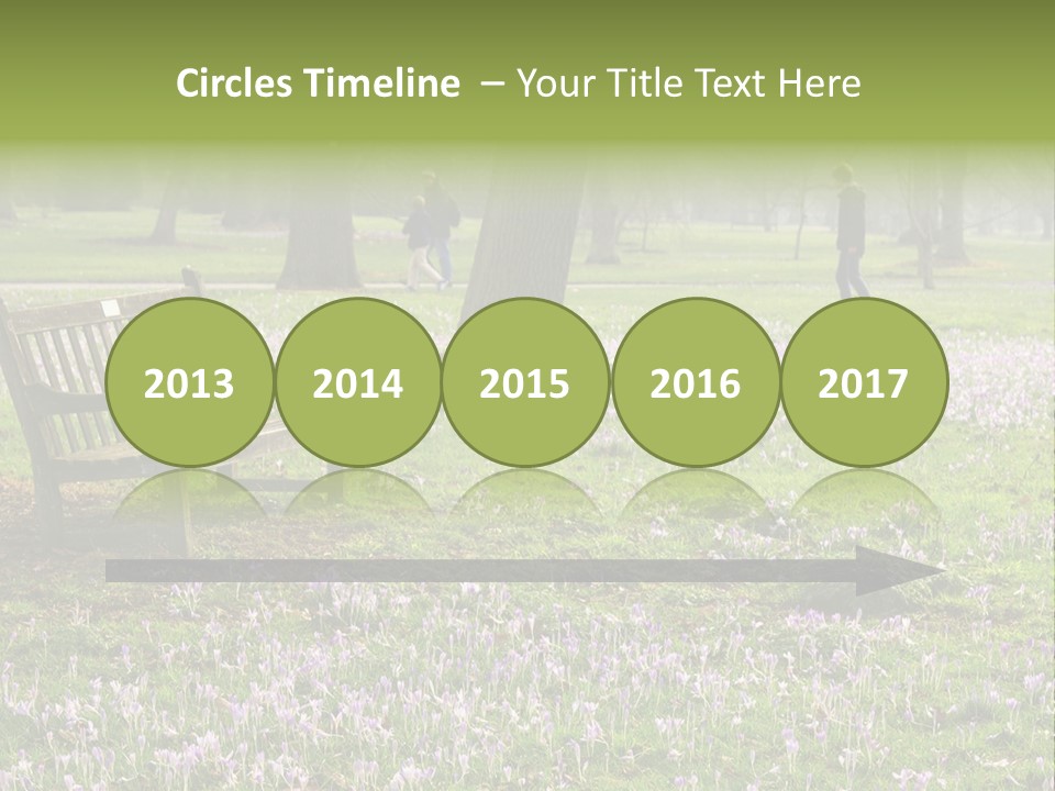 A Park Bench In The Middle Of A Field With Purple Flowers PowerPoint Template