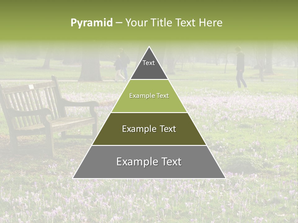A Park Bench In The Middle Of A Field With Purple Flowers PowerPoint Template