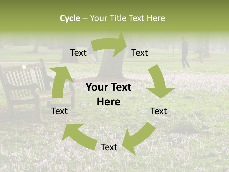 A Park Bench In The Middle Of A Field With Purple Flowers PowerPoint Template