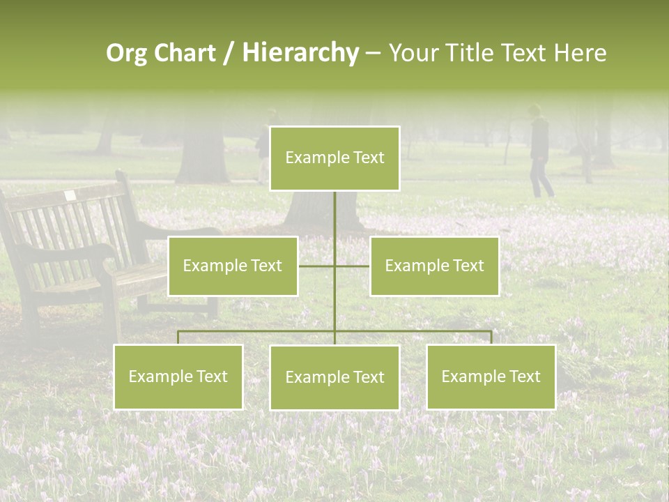 A Park Bench In The Middle Of A Field With Purple Flowers PowerPoint Template