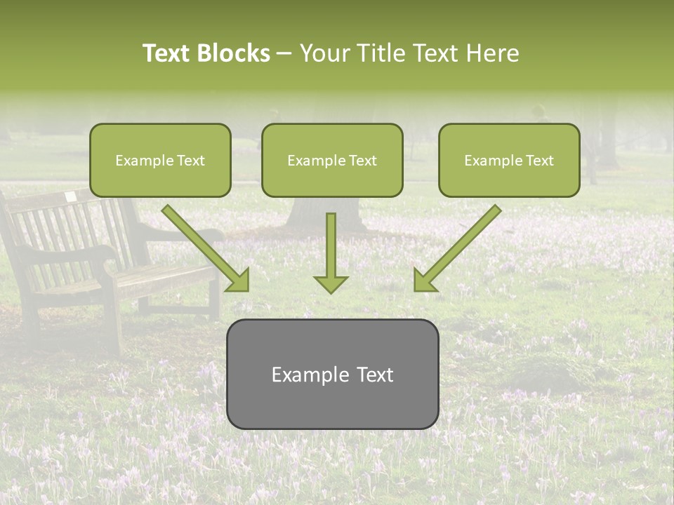 A Park Bench In The Middle Of A Field With Purple Flowers PowerPoint Template