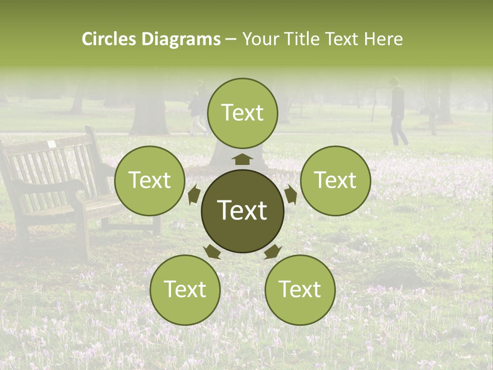 A Park Bench In The Middle Of A Field With Purple Flowers PowerPoint Template