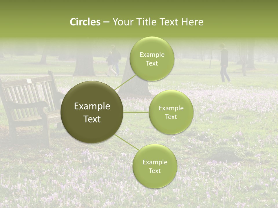 A Park Bench In The Middle Of A Field With Purple Flowers PowerPoint Template