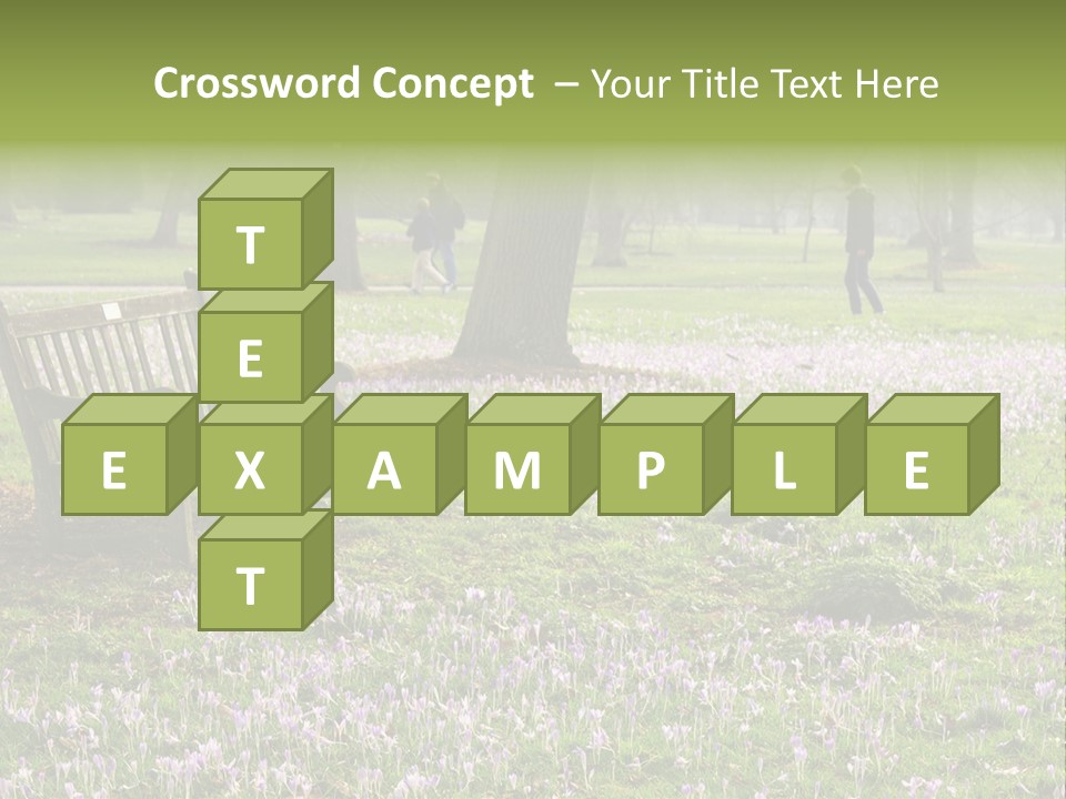 A Park Bench In The Middle Of A Field With Purple Flowers PowerPoint Template