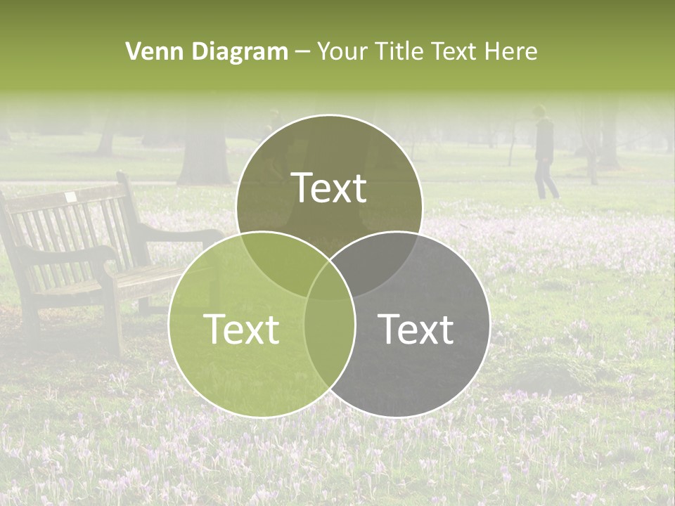 A Park Bench In The Middle Of A Field With Purple Flowers PowerPoint Template