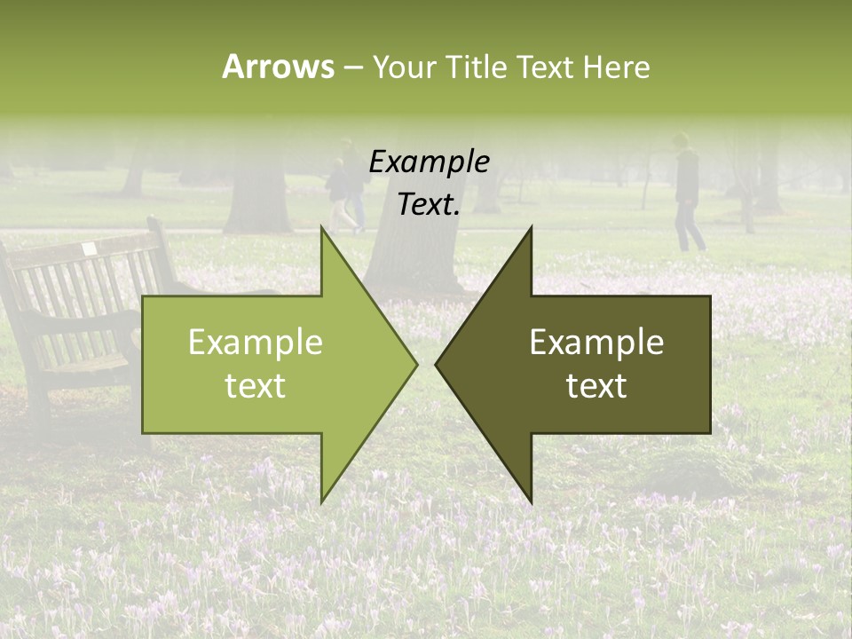 A Park Bench In The Middle Of A Field With Purple Flowers PowerPoint Template