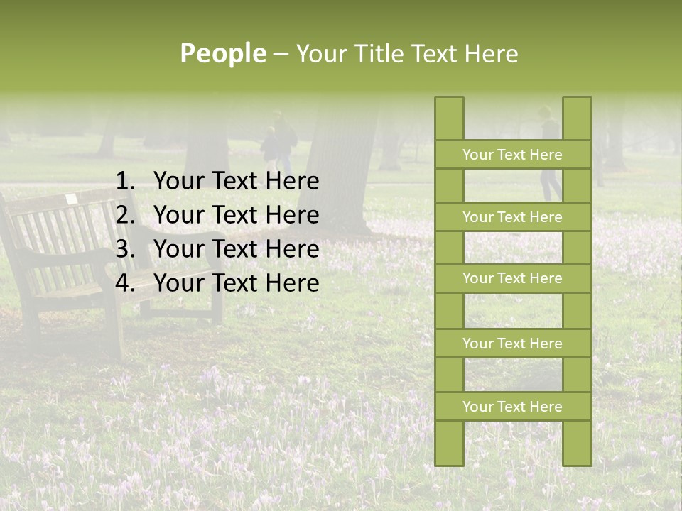 A Park Bench In The Middle Of A Field With Purple Flowers PowerPoint Template