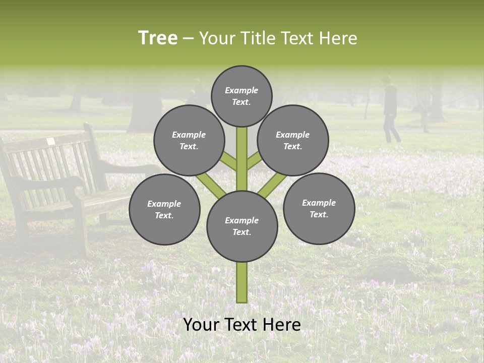 A Park Bench In The Middle Of A Field With Purple Flowers PowerPoint Template