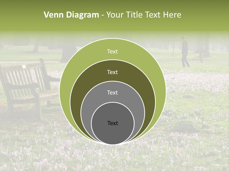 A Park Bench In The Middle Of A Field With Purple Flowers PowerPoint Template