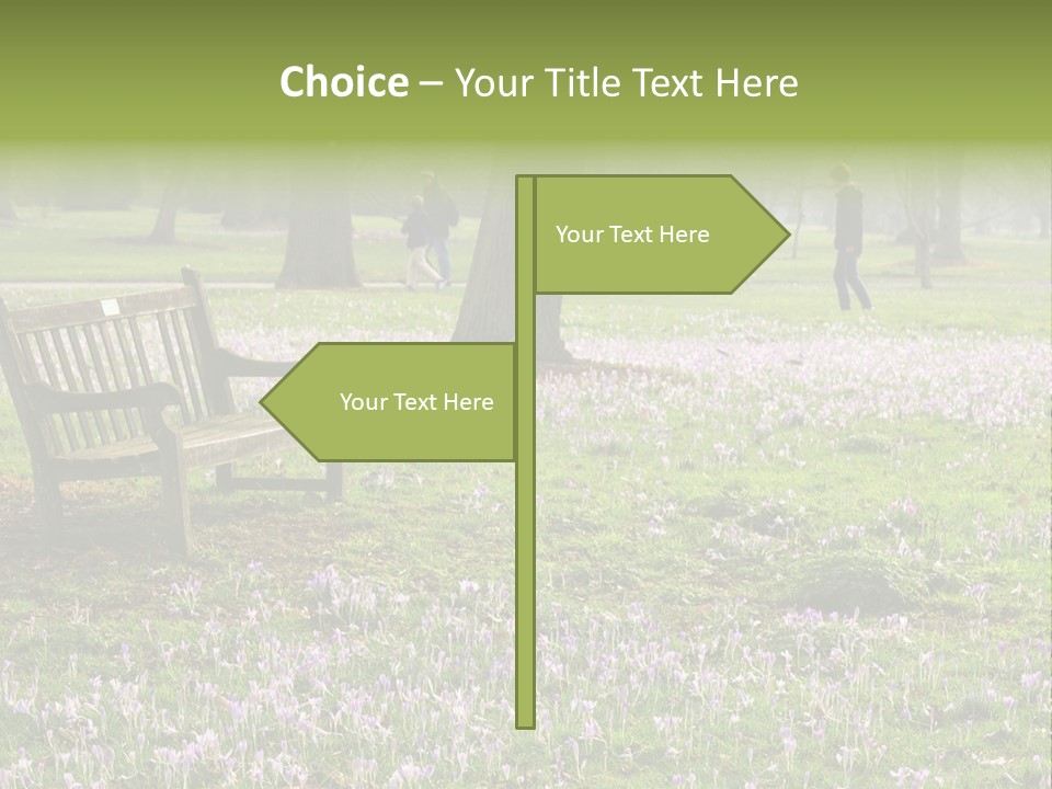 A Park Bench In The Middle Of A Field With Purple Flowers PowerPoint Template