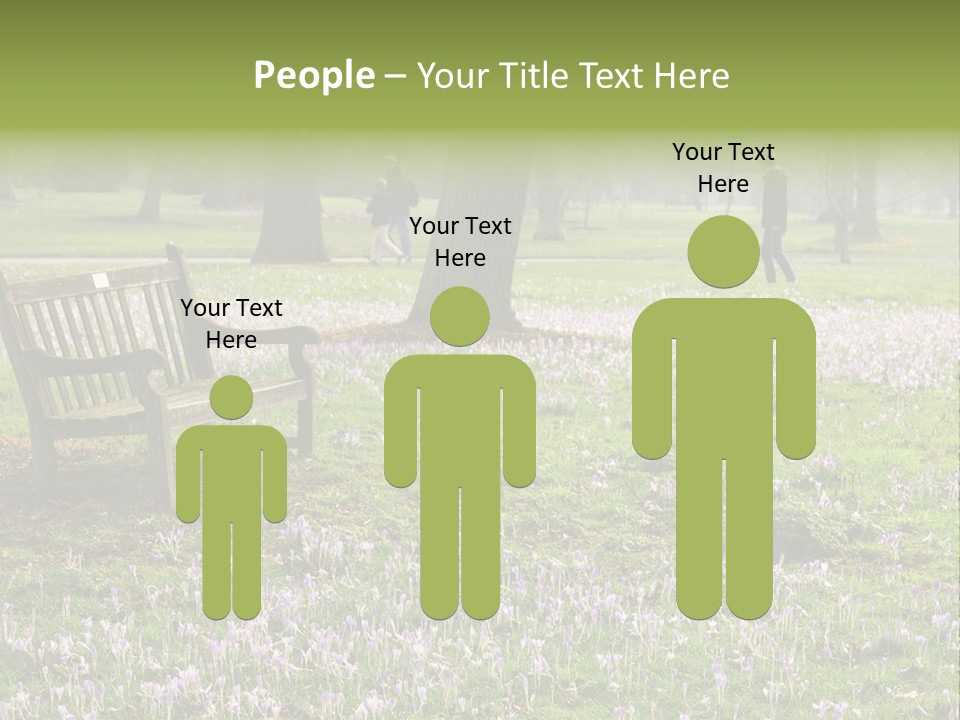 A Park Bench In The Middle Of A Field With Purple Flowers PowerPoint Template