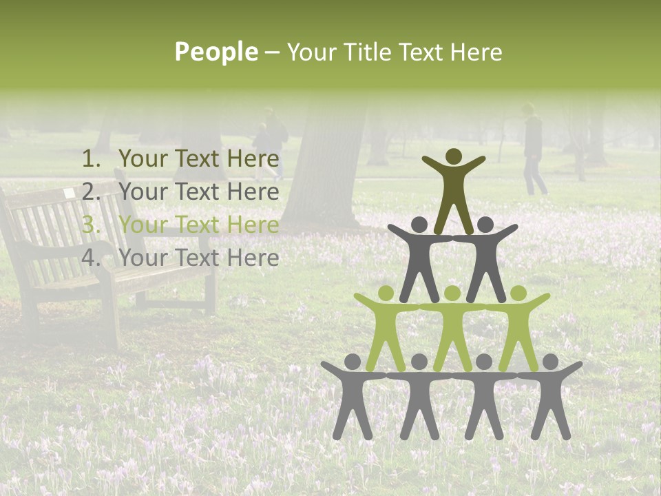 A Park Bench In The Middle Of A Field With Purple Flowers PowerPoint Template