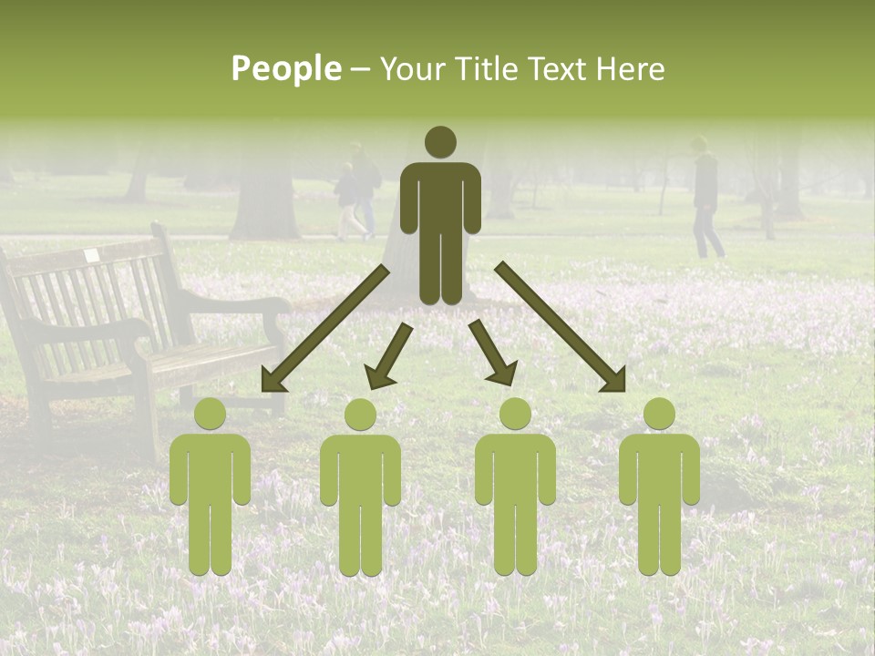 A Park Bench In The Middle Of A Field With Purple Flowers PowerPoint Template
