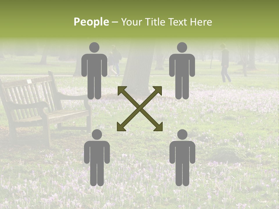 A Park Bench In The Middle Of A Field With Purple Flowers PowerPoint Template