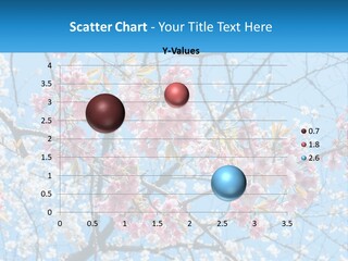 A Tree With Pink Flowers And Blue Sky In The Background PowerPoint Template