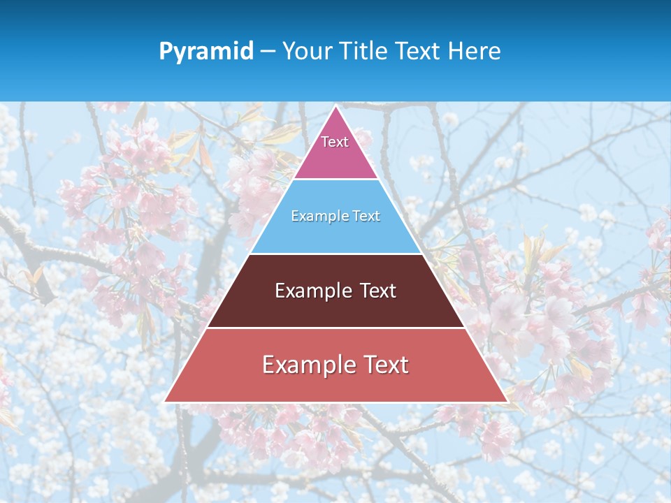 A Tree With Pink Flowers And Blue Sky In The Background PowerPoint Template
