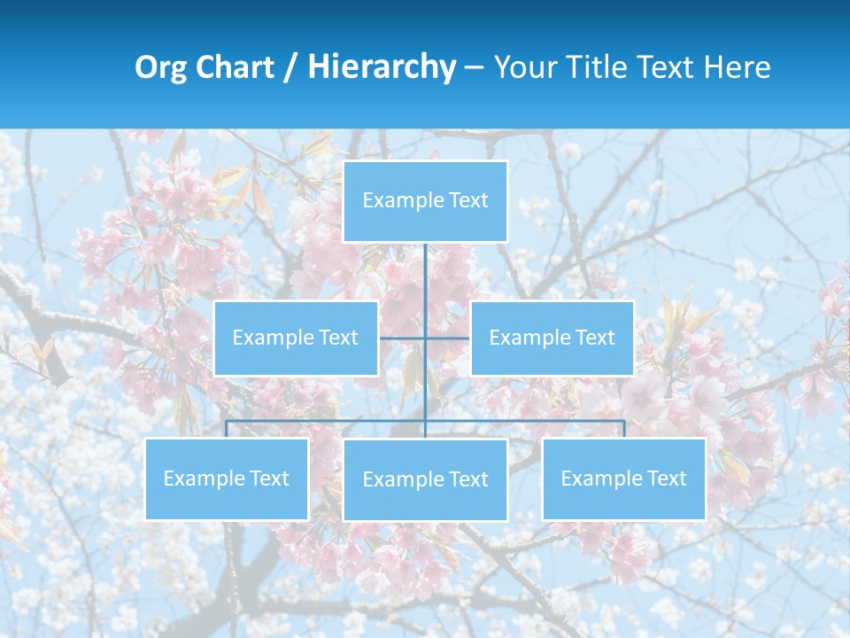 A Tree With Pink Flowers And Blue Sky In The Background PowerPoint Template