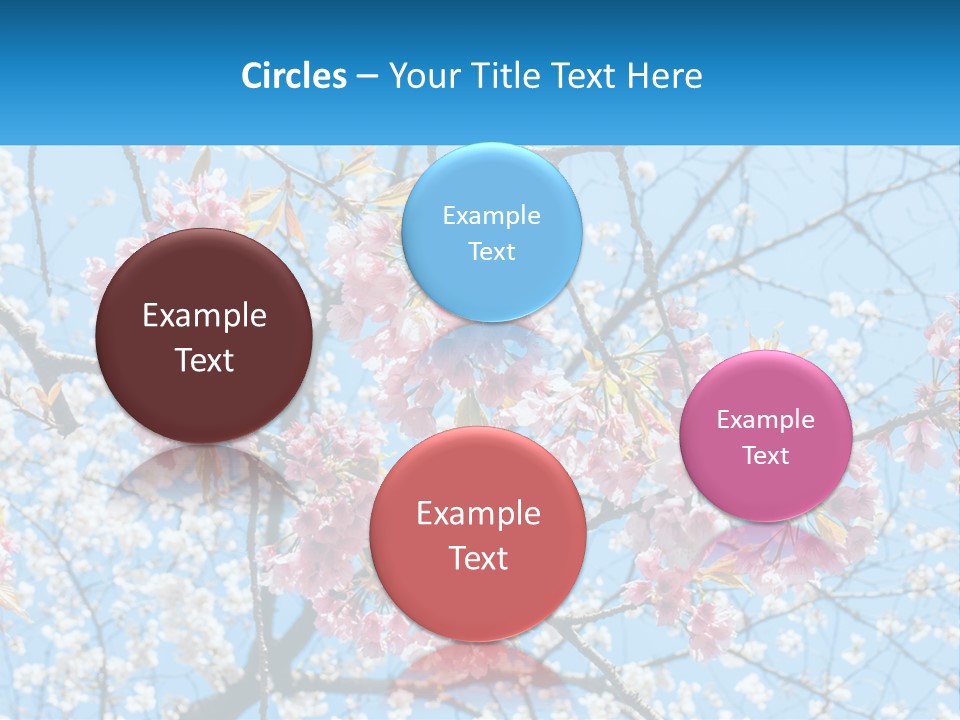 A Tree With Pink Flowers And Blue Sky In The Background PowerPoint Template