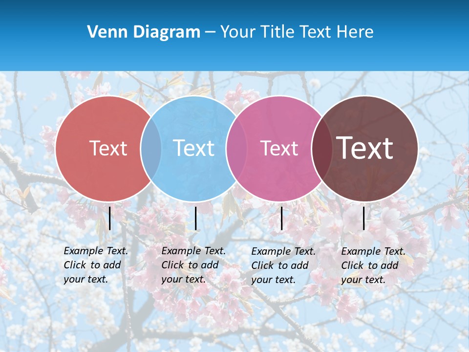 A Tree With Pink Flowers And Blue Sky In The Background PowerPoint Template