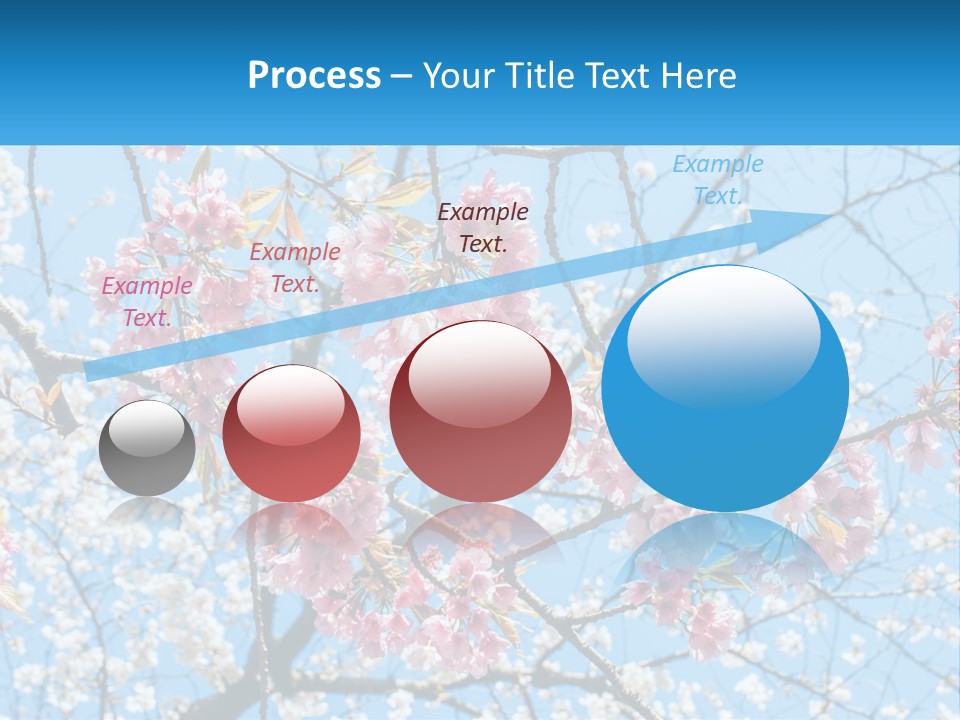 A Tree With Pink Flowers And Blue Sky In The Background PowerPoint Template