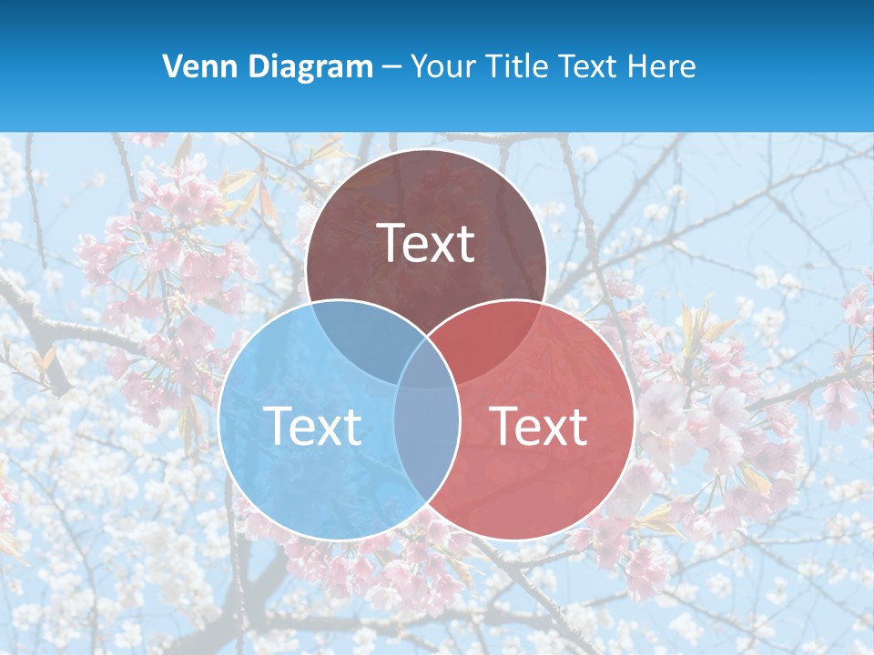 A Tree With Pink Flowers And Blue Sky In The Background PowerPoint Template