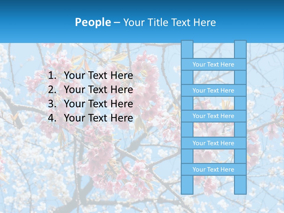 A Tree With Pink Flowers And Blue Sky In The Background PowerPoint Template