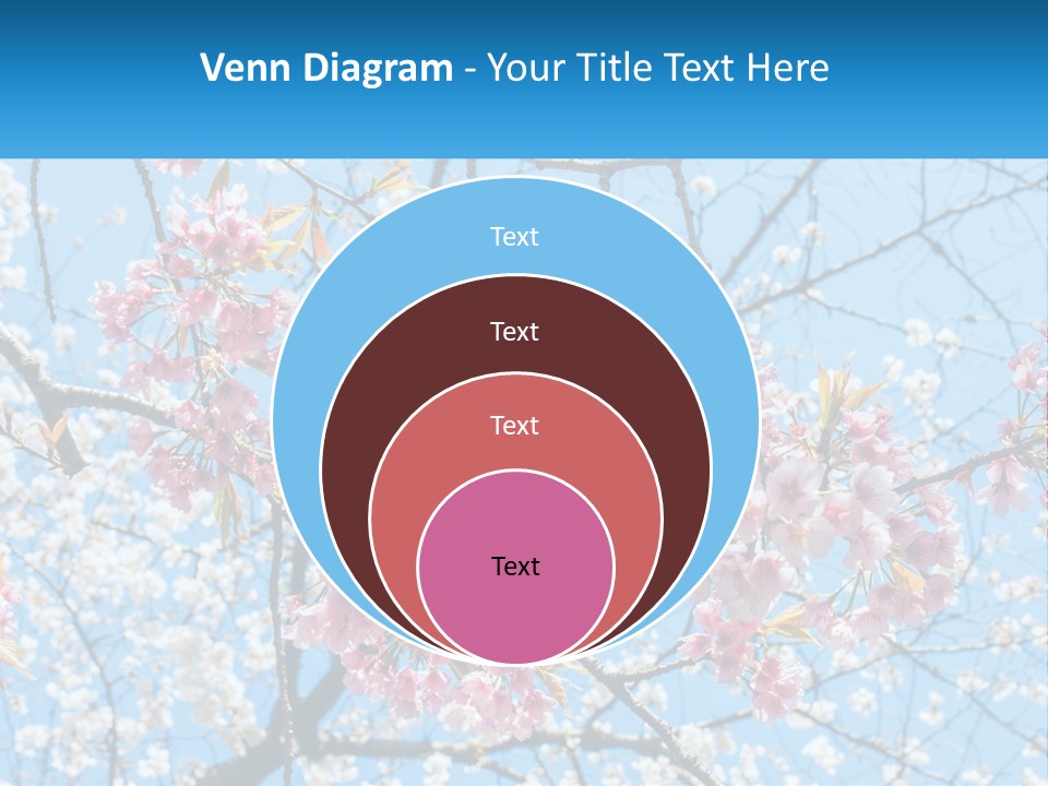 A Tree With Pink Flowers And Blue Sky In The Background PowerPoint Template