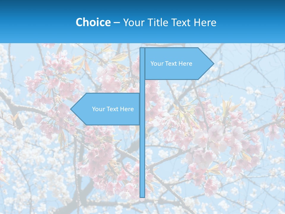 A Tree With Pink Flowers And Blue Sky In The Background PowerPoint Template