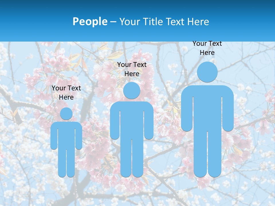 A Tree With Pink Flowers And Blue Sky In The Background PowerPoint Template