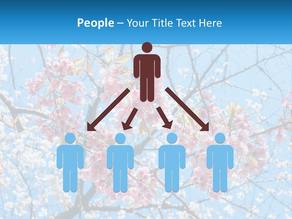 A Tree With Pink Flowers And Blue Sky In The Background PowerPoint Template