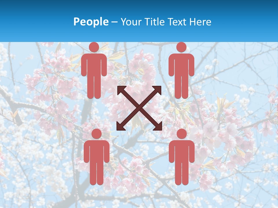 A Tree With Pink Flowers And Blue Sky In The Background PowerPoint Template