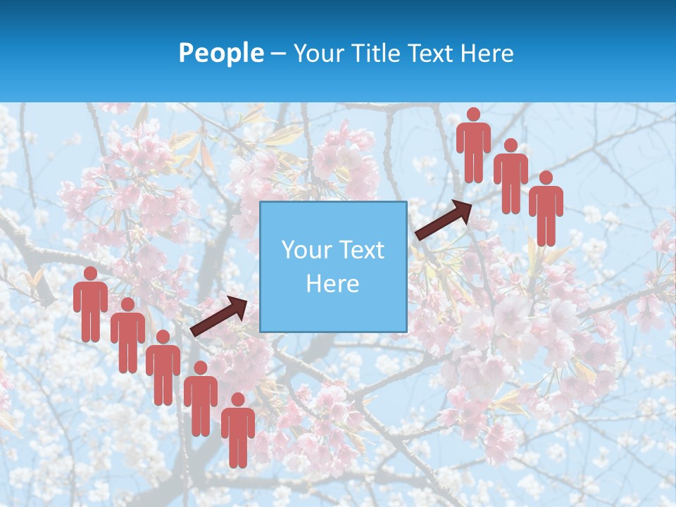 A Tree With Pink Flowers And Blue Sky In The Background PowerPoint Template