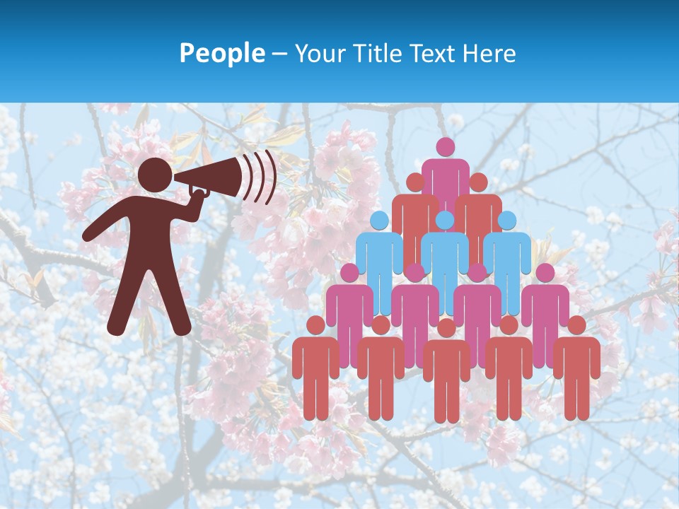 A Tree With Pink Flowers And Blue Sky In The Background PowerPoint Template