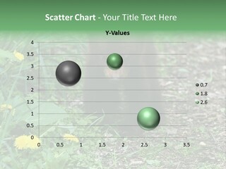 A Small Brown Bear Walking Through A Lush Green Field PowerPoint Template
