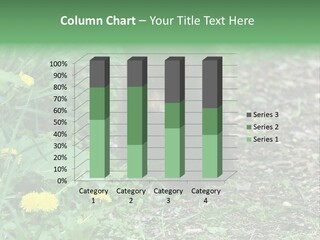 A Small Brown Bear Walking Through A Lush Green Field PowerPoint Template